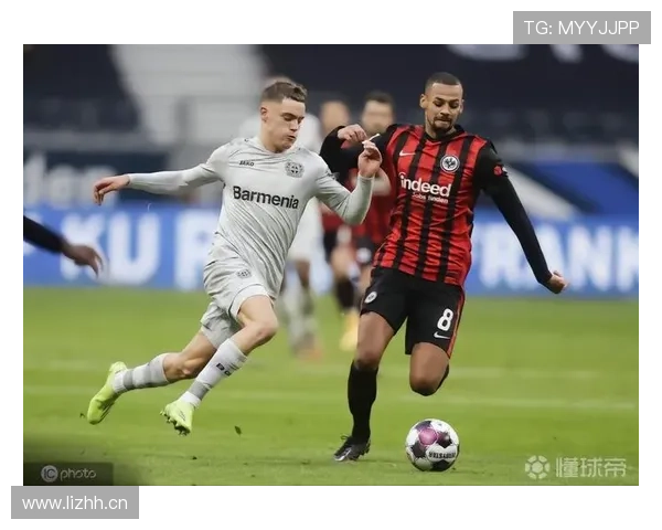 维尔茨与哈弗茨：核心定位与技术特点对比分析